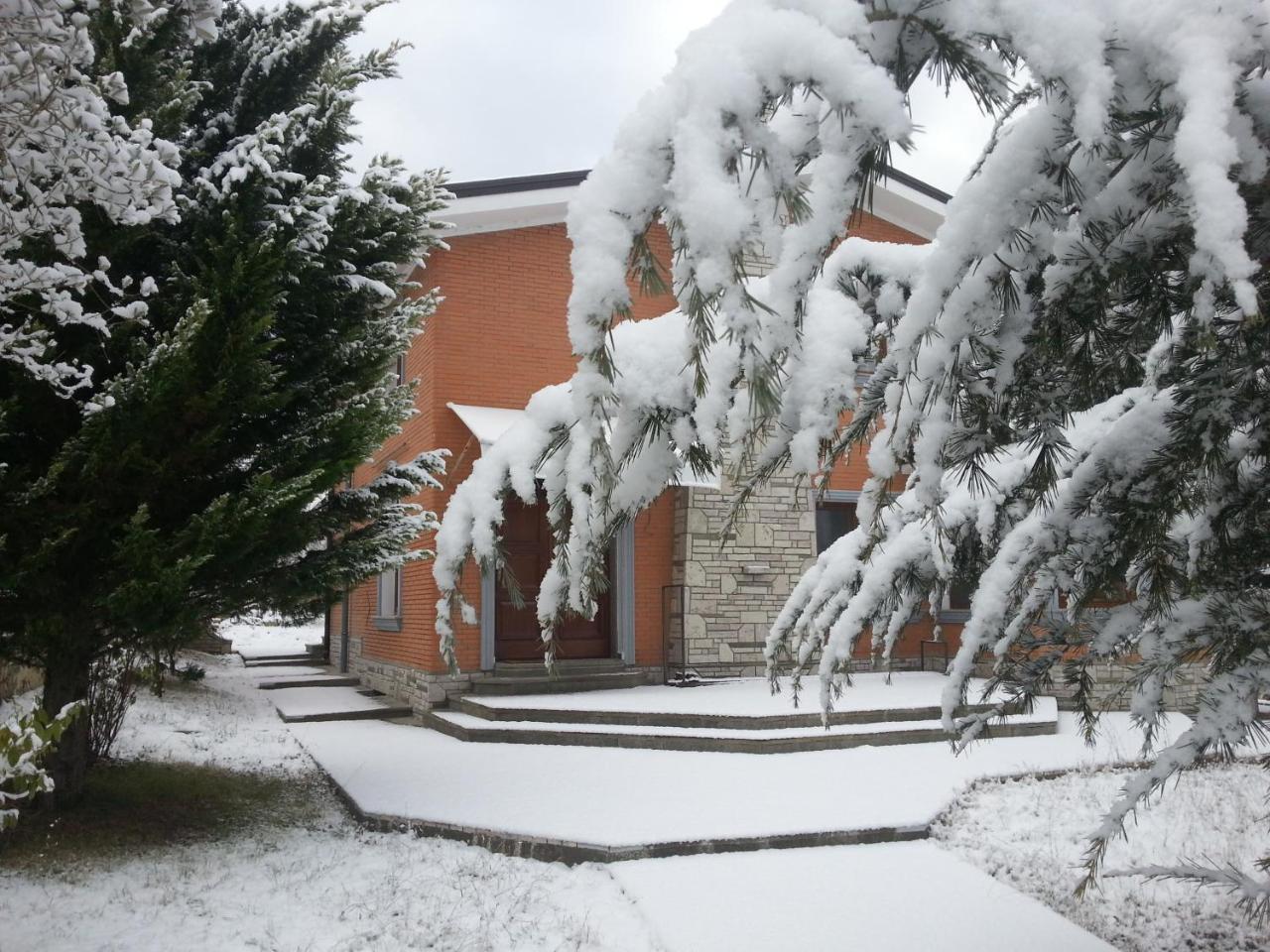 Green Villa Tirana Zewnętrze zdjęcie